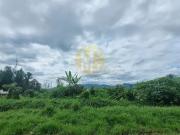 Terreno / Lote para Venda em Caraguatatuba/SP Balneário...