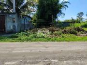 Terreno / Lote para Venda em Caraguatatuba/SP Barranco Alto