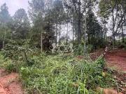 Terreno / Lote para Venda em Caraguatatuba/SP Capricórnio II