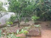 Terreno / Lote para Venda em Caraguatatuba/SP Jardim Arua