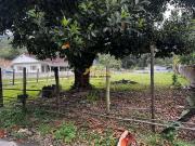 Terreno / Lote para Venda em Caraguatatuba/SP Jaraguá