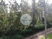 Terreno / Lote para Venda em Caraguatatuba/SP Jardim...