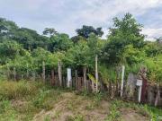 Terreno / Lote para Venda em Caraguatatuba/SP Jardim...