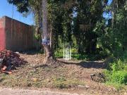 Terreno / Lote para Venda em Caraguatatuba/SP Jardim das...