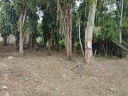 Terreno / Lote para Venda em Caraguatatuba/SP Jardim das...