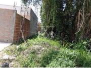 Terreno / Lote para Venda em Caraguatatuba/SP Jardim das...