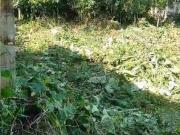 Terreno / Lote para Venda em Caraguatatuba/SP Jardim Rio...