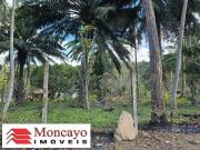 Terreno / Lote para Venda em Caraguatatuba/SP Jardim...