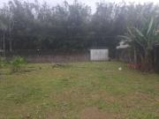 Terreno / Lote para Venda em Caraguatatuba/SP Massaguaçu