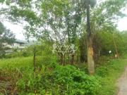 Terreno / Lote para Venda em Caraguatatuba/SP Massaguaçu