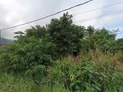 Terreno / Lote para Venda em Caraguatatuba/SP Massaguaçu