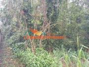 Terreno / Lote para Venda em Caraguatatuba/SP Massaguaçu