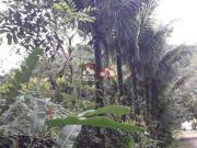 Terreno / Lote para Venda em Caraguatatuba/SP Massaguaçu