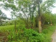 Terreno / Lote para Venda em Caraguatatuba/SP Massaguaçu