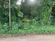 Terreno / Lote para Venda em Caraguatatuba/SP Massaguaçu