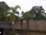 Terreno / Lote para Venda em Caraguatatuba/SP Massaguaçu