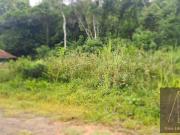 Terreno / Lote para Venda em Caraguatatuba/SP Massaguaçu