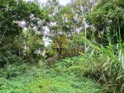 Terreno / Lote para Venda em Caraguatatuba/SP Massaguaçu