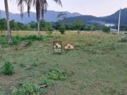 Terreno / Lote para Venda em Caraguatatuba/SP Porto Novo