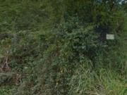 Terreno / Lote para Venda em Caraguatatuba/SP Tabatinga