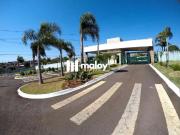 Terreno / Lote para Venda em Cascavel/PR Cataratas