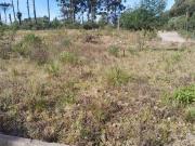 Terreno / Lote para Venda em Caxias do Sul/RS Ana Rech