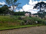 Terreno / Lote para Venda em Caxias do Sul/RS Ana Rech