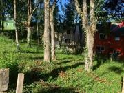 Terreno / Lote para Venda em Caxias do Sul/RS Ana Rech