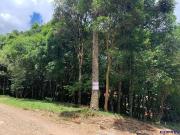 Terreno / Lote para Venda em Caxias do Sul/RS Ana Rech