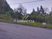 Terreno / Lote para Venda em Caxias do Sul/RS Bela Vista