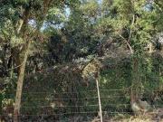 Terreno / Lote para Venda em Caxias do Sul/RS Bela Vista
