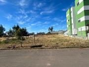 Terreno / Lote para Venda em Caxias do Sul/RS Bela Vista