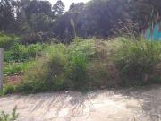 Terreno / Lote para Venda em Caxias do Sul/RS Centenário