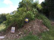 Terreno / Lote para Venda em Caxias do Sul/RS Charqueadas