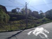 Terreno / Lote para Venda em Caxias do Sul/RS Charqueadas