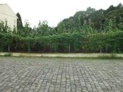 Terreno / Lote para Venda em Caxias do Sul/RS Cinqüentenário