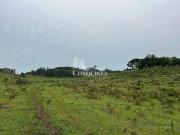 Terreno / Lote para Venda em Caxias do Sul/RS Criúva