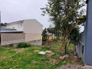 Terreno / Lote para Venda em Caxias do Sul/RS Desvio Rizzo