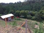 Terreno / Lote para Venda em Caxias do Sul/RS Desvio Rizzo Terreno / Lote para Venda em Caxias do Sul/RS Desvio Rizzo