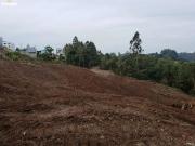 Terreno / Lote para Venda em Caxias do Sul/RS Desvio Rizzo