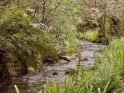 Terreno / Lote para Venda em Caxias do Sul/RS Fazenda Souza