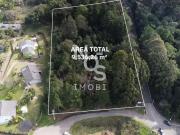 Terreno / Lote para Venda em Caxias do Sul/RS Linha 40
