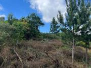 Terreno / Lote para Venda em Caxias do Sul/RS Monte Bérico