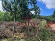 Terreno / Lote para Venda em Caxias do Sul/RS Monte Bérico