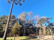 Terreno / Lote para Venda em Caxias do Sul/RS Nossa...