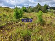 Terreno / Lote para Venda em Caxias do Sul/RS Nossa...