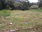 Terreno / Lote para Venda em Caxias do Sul/RS Nossa...