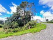 Terreno / Lote para Venda em Caxias do Sul/RS Panazzolo