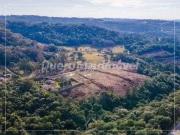 Terreno / Lote para Venda em Caxias do Sul/RS Parada Cristal