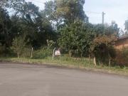 Terreno / Lote para Venda em Caxias do Sul/RS Pioneiro